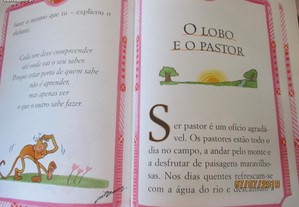 imagem_7