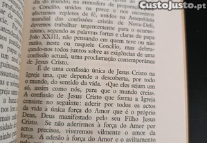 imagem_7