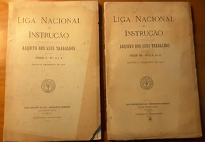 Liga Nacional de Instrução (1915, 1918)