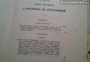 imagem_11