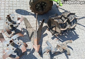 imagem_4