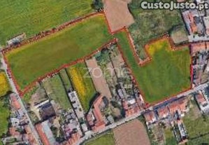 Terreno Misto Com 18480 M2 Em Lavra,...