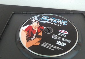 imagem_7