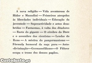 imagem_11