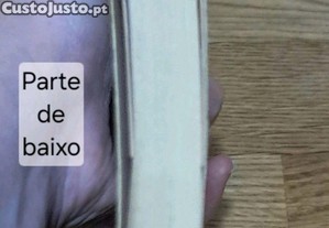 imagem_7