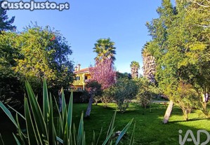 imagem_25