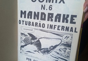 imagem_5