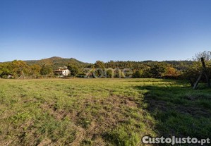 Terreno Com 7852 M2 Em Torre - Amares