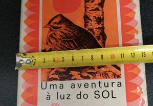 imagem_8