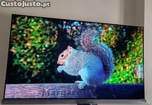TV HISENSE 65A9G (OLED - 65'' - 165 cm - 4K Ultra HD - Smart TV)