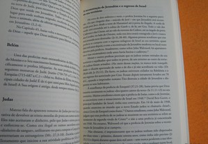 imagem_7