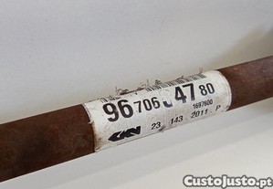 imagem_2