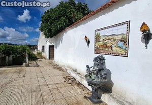 imagem_32