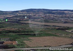 imagem_1