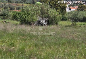 imagem_9