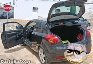 imagem_11