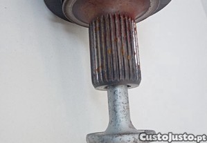 imagem_3