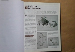 imagem_7