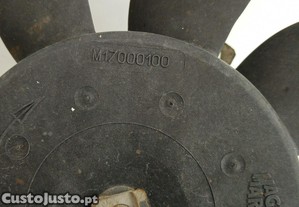 imagem_2