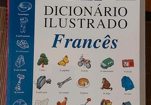 Dicionário ilustrado francês