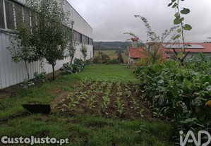 imagem_12