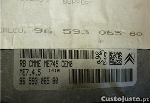 imagem_3