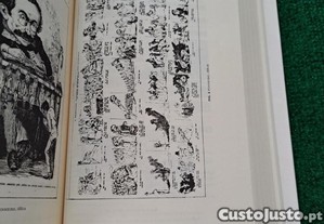 imagem_7