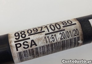imagem_5