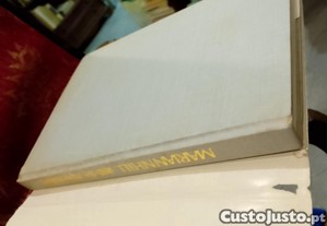imagem_3