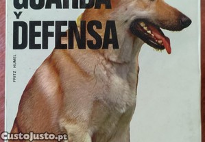 imagem_1