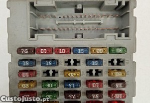 imagem_2