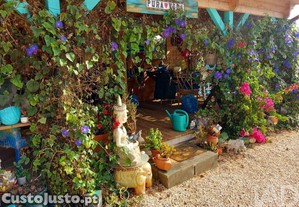 Terreno Agrícola em Budens