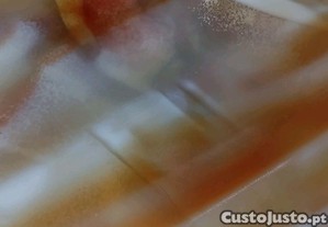 imagem_7