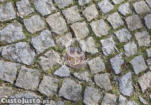imagem_12