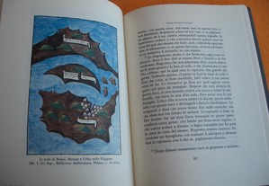 imagem_4