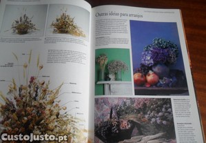 imagem_6