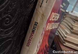 imagem_2