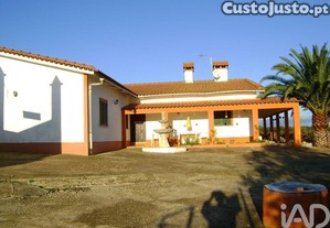 imagem_13