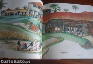 imagem_5