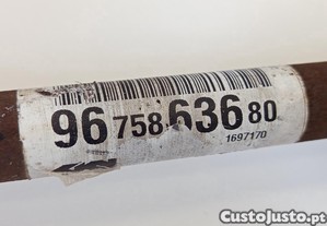 imagem_5
