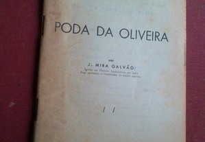 Junta Nacional do Azeite-J. Mira Galvão-Poda da Oliveira-s/d 1939?