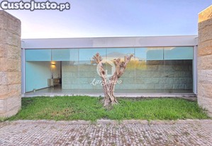 imagem_12
