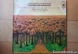 imagem_2
