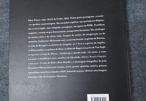 imagem_4