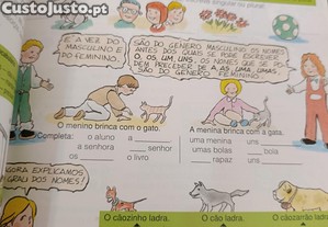 imagem_7