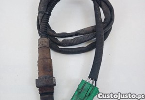 imagem_1