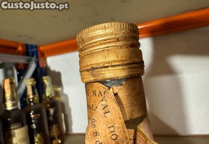 imagem_5