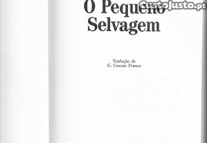 imagem_5