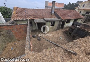 imagem_12