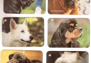 Coleção completa e numerada de 12 calendários sobre Raças de cães 1993